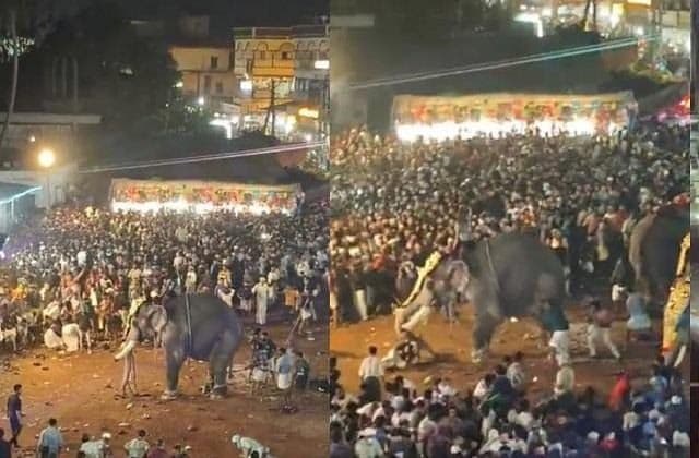 केरल उत्सव में बेकाबू हाथी ने लोगों को पटक-पटककर फेंका